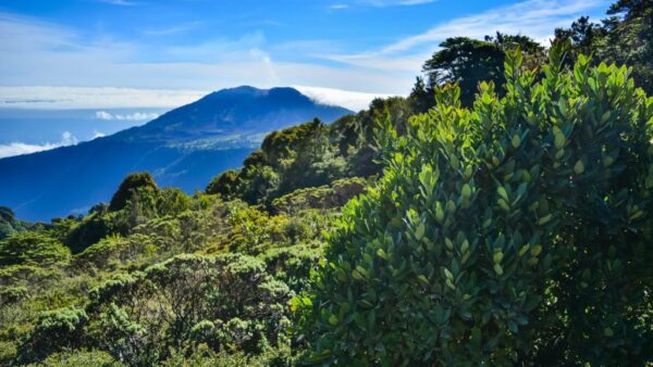 Costa Rica refuerza protección ambiental con marco constitucional