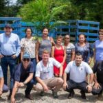 ¿Por qué Costa Rica invierte en palma aceitera cuando el mundo diversifica cultivos?