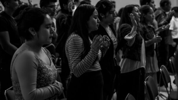 Cientos de jóvenes chinos buscan empleo como pastores de ovejas