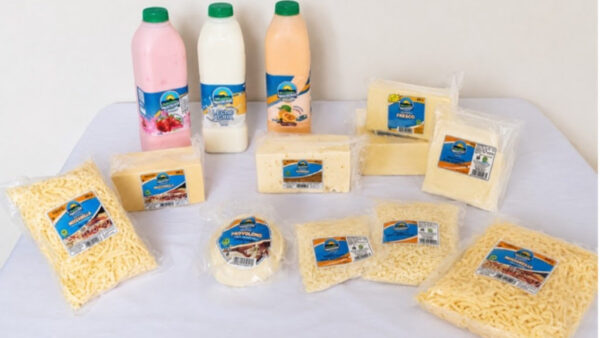 Cooperativa de Puriscal impulsa desarrollo regional con 2.500 asociados