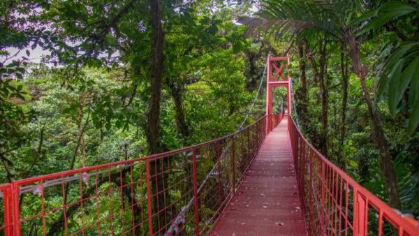 Reserva Monteverde obtiene reconocimiento de conservación internacional