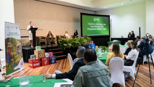 Costa Rica invirtió $54 millones en conservación forestal