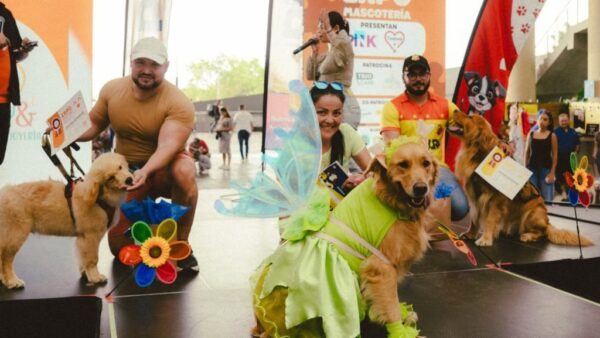 ¿Qué ofrece la Expo Mascotería en Heredia y cómo adoptar responsablemente?