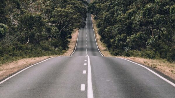Vigilancia policial visible reduce delitos en carreteras estadounidenses