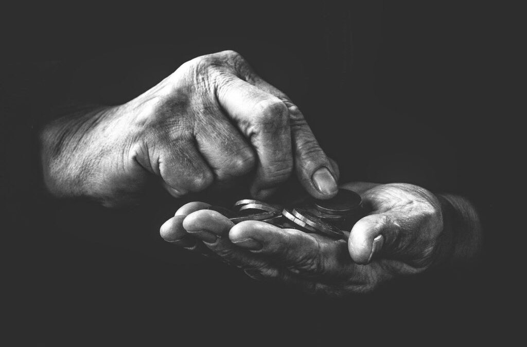 Fotografía ilustrativa · delfino.cr